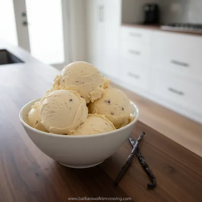 Paleo Vanilla Ice Cream